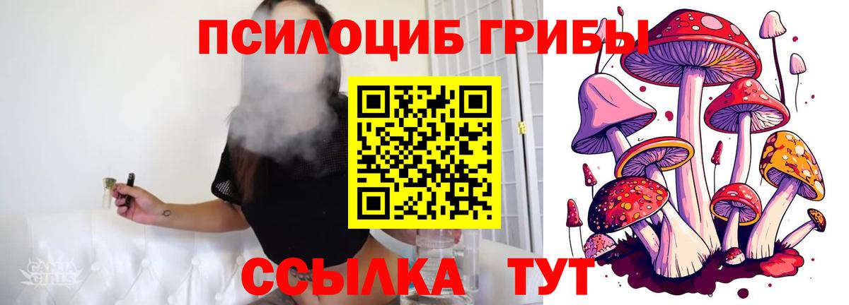 Галлюциногенные грибы прущие грибы Кудрово